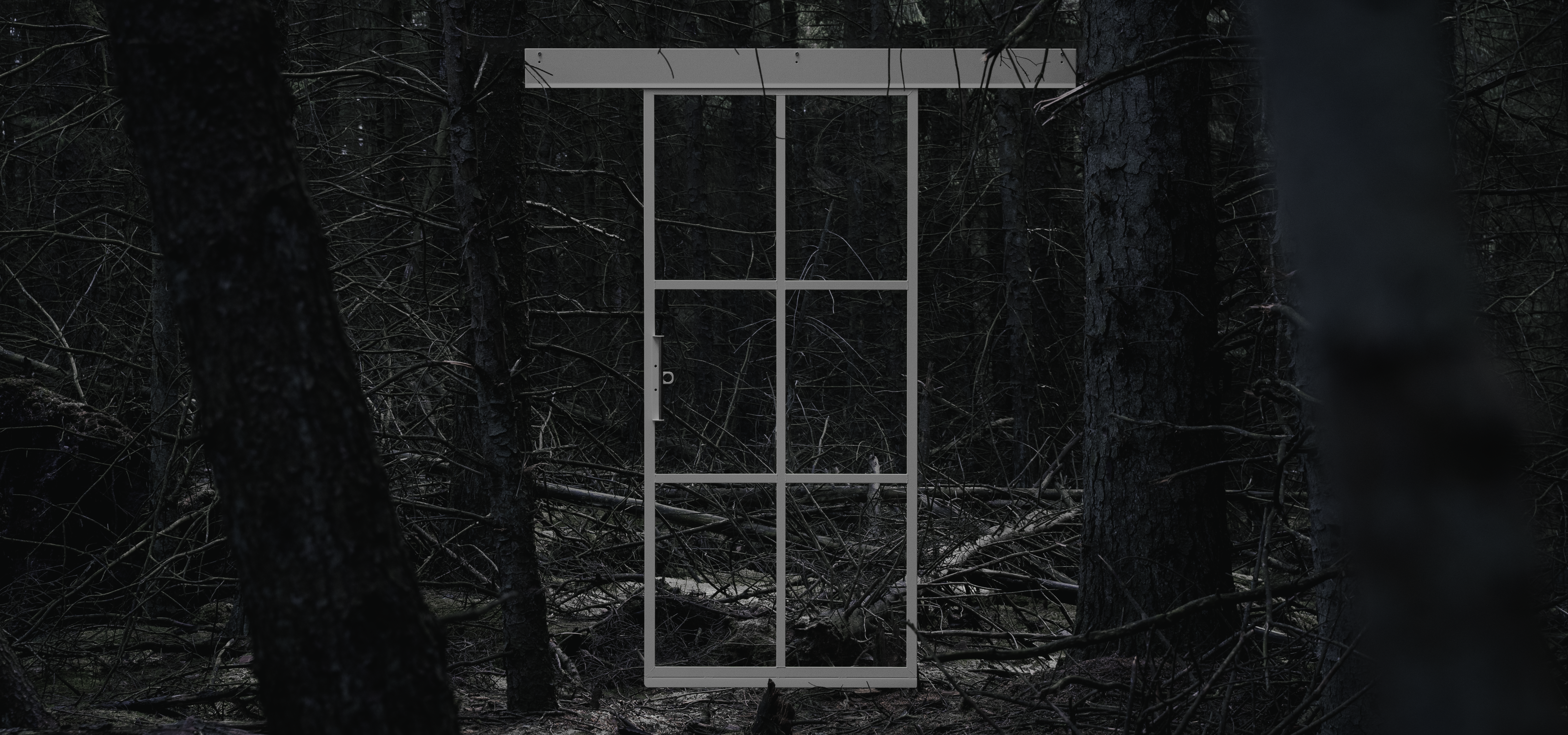 Skydedør